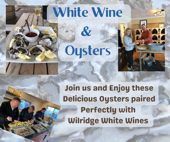 White Wine and Oysters Yakima 2/29 1