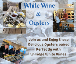 White Wine and Oysters Madrona 03/1