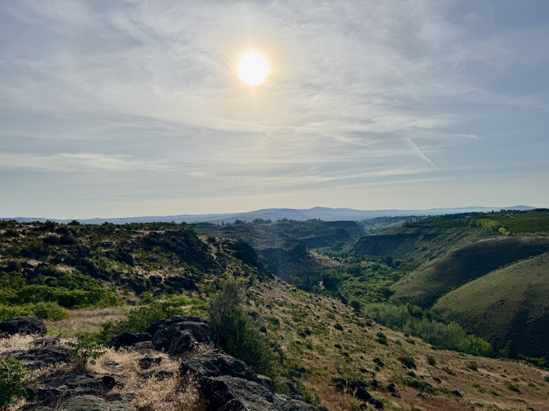 Qrrnp3rMyi2VKITM_c41bed7b662e2fdc38ead62e0cf4fbf8_medium